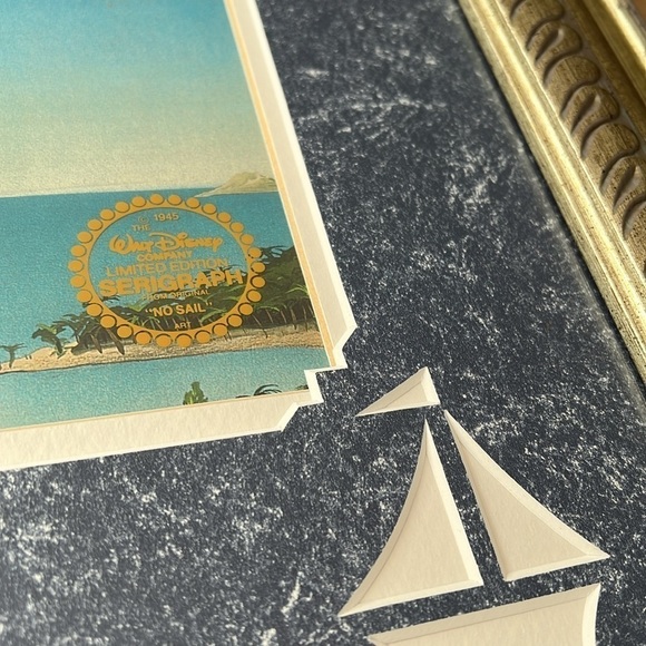 Disney Studio’s No Sail Donald Original Limited Edition Seri Cel w/Certificate - Picture 11 of 12